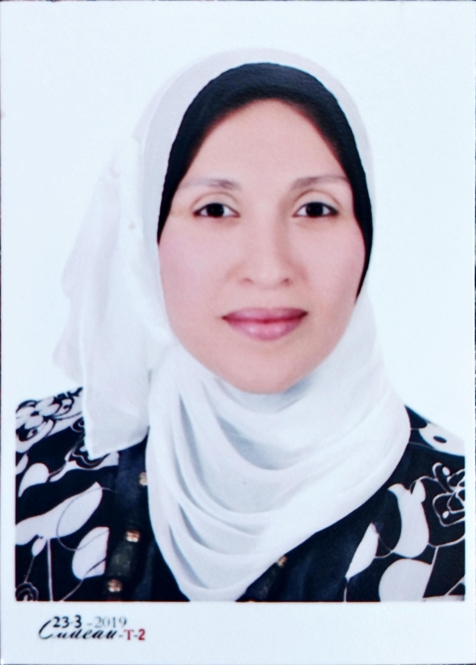 Asst. Prof. Dr. Doaa Mohamed Sadony
